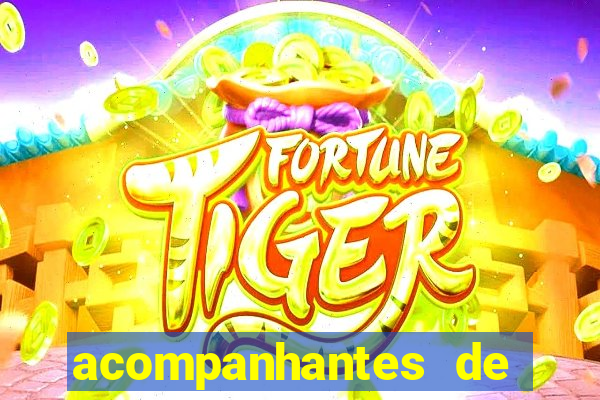 acompanhantes de porto feliz